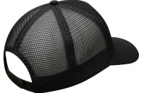 Toronto_black_ovan